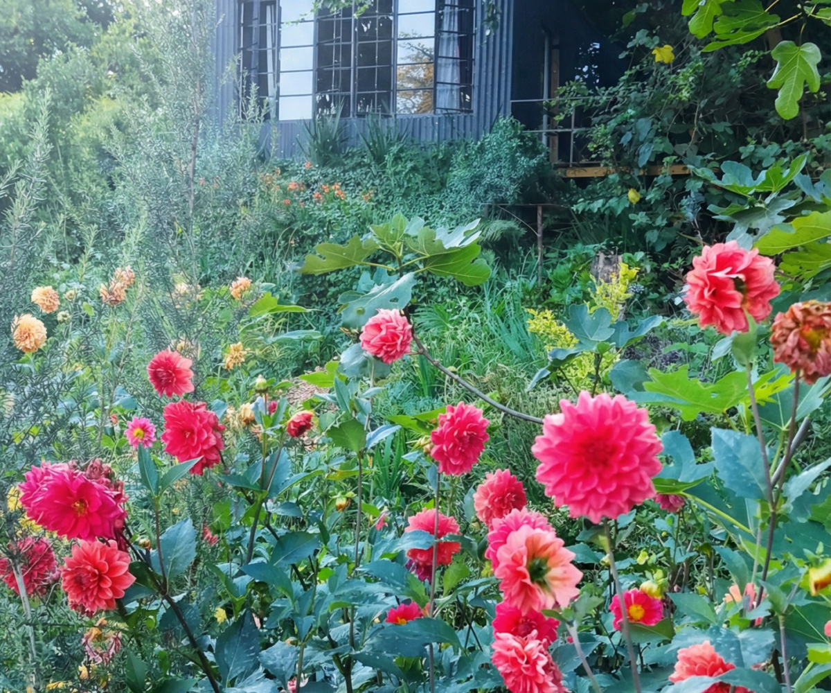 Gardeners Cottage Flowers