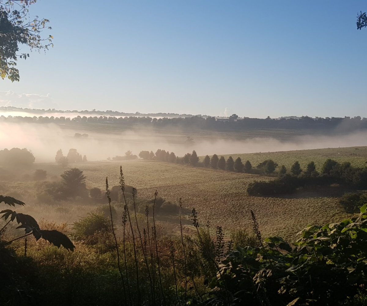 country house view gallery