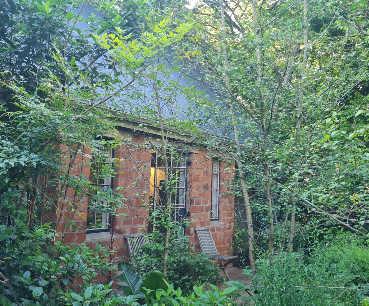 forest 30